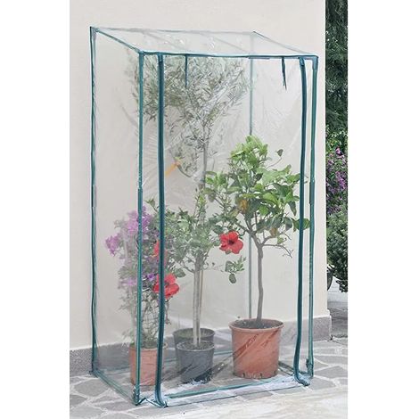 serra da giardino verdemax "bounganvillea" 100x70x170 cm (1/5)