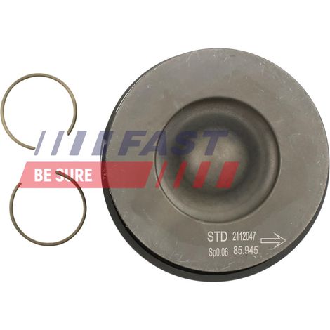 FT47129/0 pistone veloce (1/3)