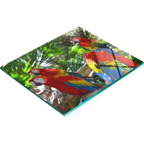 Dekoratives Küchenschneidebrett aus Glas mit Ara-Papageienmotiv, 60 x 52 cm (1/5)
