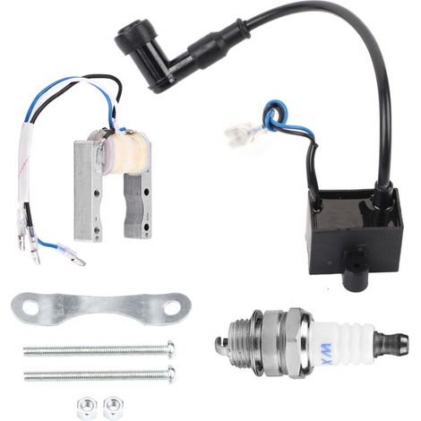 Bobina de encendido, piezas duraderas y seguras, estator magnético ajustable simple, fábrica de automóviles, algunos modelos de motocicletas para reparadores (1/5)