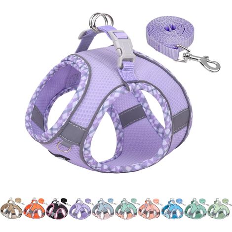 Harnais pour Chien Anti-évasion, Gilet Anti-Traction avec Laisse, Maille Respirante, Bandes réfléchissantes, Harnais d'extérieur réglable pour Chiens de Taille Moyenne Violet M (1/5)