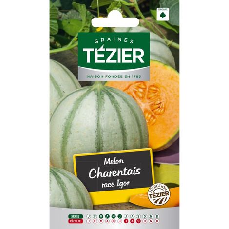 Tezier - Melon Charentais race Igor (1/2)