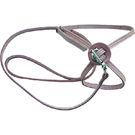 Guinzaglio per cane/gatto larg. mm 10 lung. cm 60