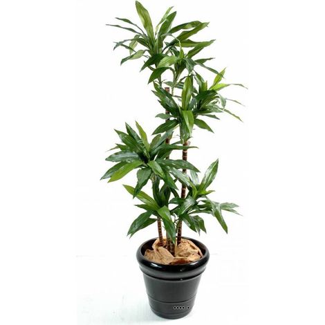 Dracaena artificiel 3 troncs en bois naturel en pot H 95 cm Vert - dimhaut: H 95 cm - couleur: Vert