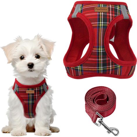 Harnais Petit Chien avec Laisse Step-in Harnais Chiot Rouge XXXS (1/5)