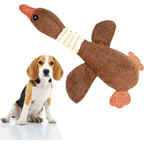 Jouets couineurs adaptés aux chiens de petite et moyenne taille, jouets en peluche douce pour chiens, jouets de nettoyage et d'entraînement des dents pour chiots (marron) (1/5)