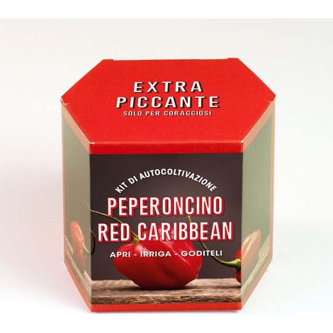 KIT DI AUTOCOLTIVAZIONE PEPERONCINO RED CARIBBEAN (1/4)