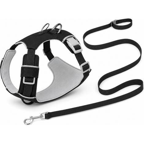 Équipement de promenade pour chien noir charbon ensemble XS