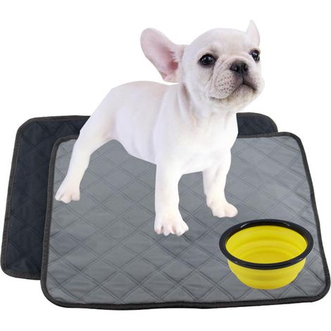 2 Pièces Tapis Absorbant Chien, Tapis Éducateur pour Chien Lavable Réutilisable, Tapis pour Chien Lavable Antidérapant, Réutilisable Pee Pad Anti-Fuites pour Chiot pour Chien/Chat/Lapin (1/5)