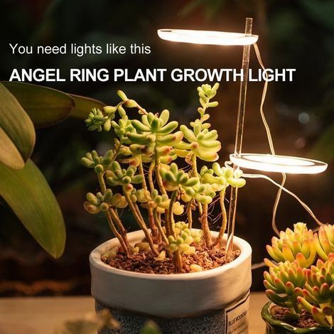 Lampe Horticole à Spectre, 20 LED Lampe Ampoule de Intérieur Lampe à Anneau USB à Spectre Plant Cultivez Grow Light pour Fleurs de Ménage Élèvent (1/4)