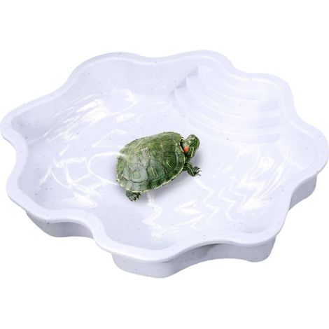 Bol d'eau pour reptiles – Piscine pour tortues en PP 30 x 30 x 5,5 cm, conception en forme de berge de rivière, plat pour animaux de compagnie résistant aux chutes, accessoire d'alimentation hygiéniqu (1/5)