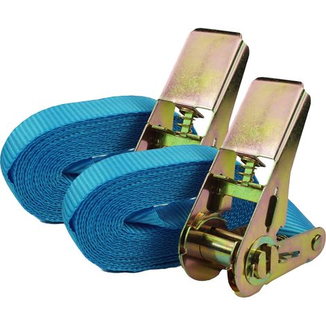 2x Profi Ratschen Spanngurt Spanngurte Zurrgurt 1-tlg 4m 0,8t 0,8to 800kg TÜV/GS BLAU (1/2)