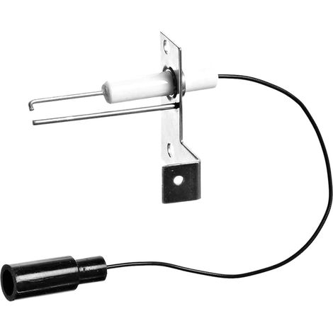 93868 y componente de electrodo sensor Calentador de agua eléctrico Accesorios para calentadores de agua eléctricos y accesorio de electrodo (1/2)