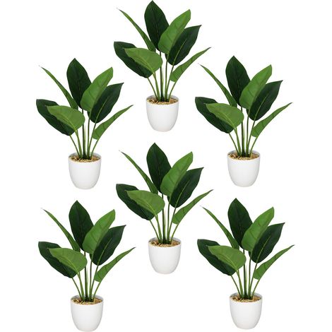 Pack of 6 x 45cm Artificial Aureum Plant (1/5)