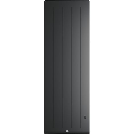 Radiateur electrique Fonte chaleur douce KENYA 5 Vertical 1000W Gris - THERMOR 414747 (1/5)