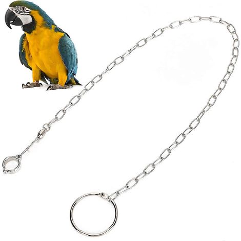 Bracelet de cheville fendu en acier inoxydable pour grands perroquets, anneau de cheville pour le dressage des oiseaux, accessoire pour perroquet (1/5)