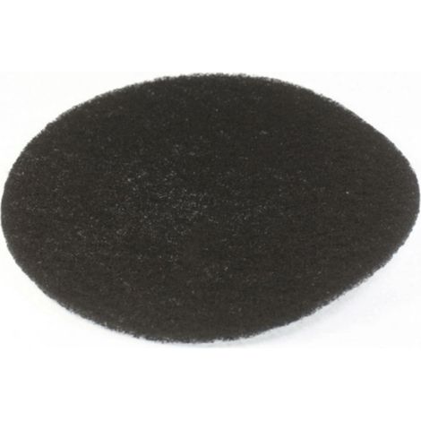 Ersatzteil - Kohlefilter -  - DELONGHI