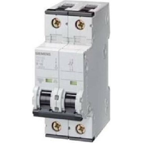 Interrupteur Siemens 5sy6210-7 6 kA 230 V 400 V