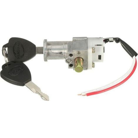 Cylindre de batterie - - Compatible moto et vélo - Mini verrou de sécurité - A clé - Livré avec 2 clés (1/4)