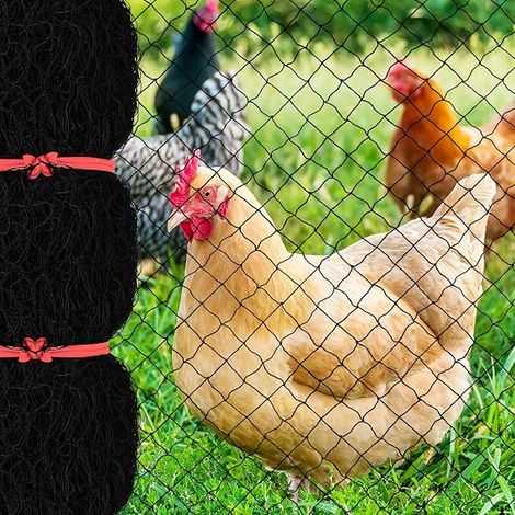 Filet anti-oiseaux de 7,6 x 15,2 m avec maille carrée de 2,5 cm, filet de jardin réutilisable pour poulailler, filet de volaille en nylon pour clôture de cerf pour protéger les arbres fruitiers (1/5)