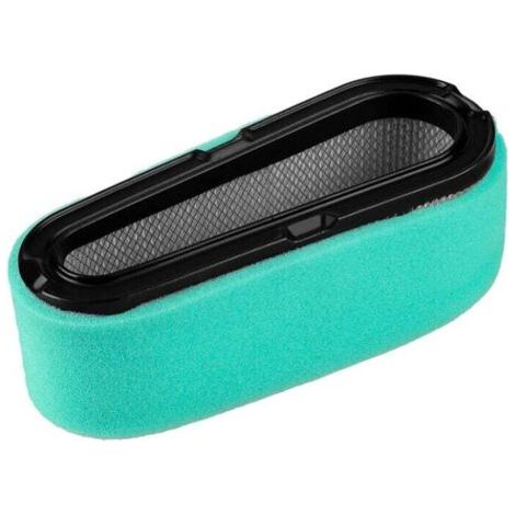 BUNTHAUS PA Filtre à Air pour Tondeuse à Gazon Pièce 496894S 496894 493909 Accessoire de Remplacement (1/4)