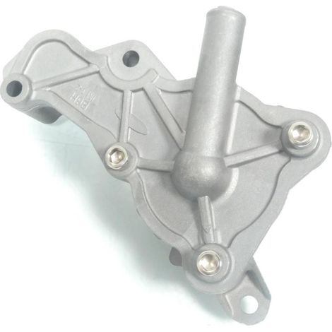 Wasserpumpe P2R für Roller Yamaha 125 Xmax ab 2021 B6H-E2420-00 (1/5)