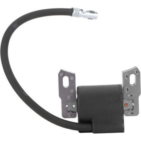 Pièce Détachée Ignition Compatible Modèles 590455 793354 799382 pour Tondeuse - (1/5)