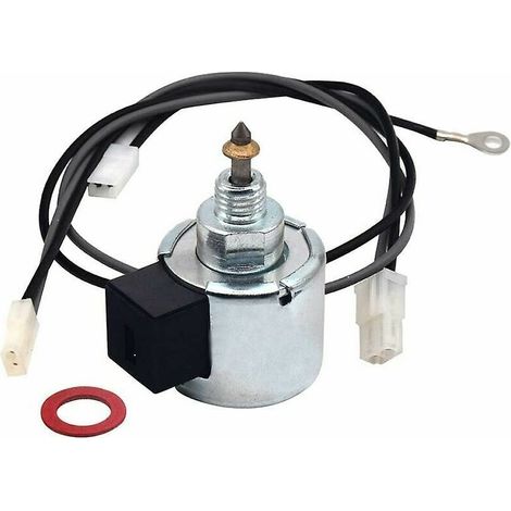 Remplacement du solénoïde de coupure de carburant du carburat pour Briggs & Stratton (1/5)