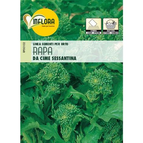 SEMI ORTO "RAPA DA CIME SESSANTINA" - CF. BUSTA 10 GR