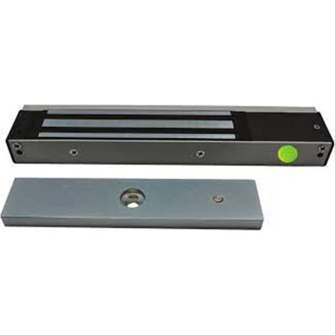 Izyx EMS600C Ventosa de superficie 300kg