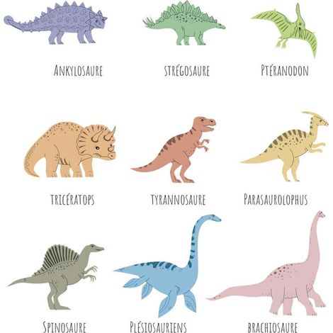 Autocollant mural abécédaire multicolore pour enfants – Dimensions 56x55 cm – Facile à appliquer sur murs peints et surfaces lisses – Sud Trading