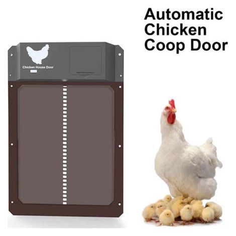 Automatic door for chicken coop – IPX4 waterproof electric shutter – Integrated motor system – Opening at sunrise (1/5)