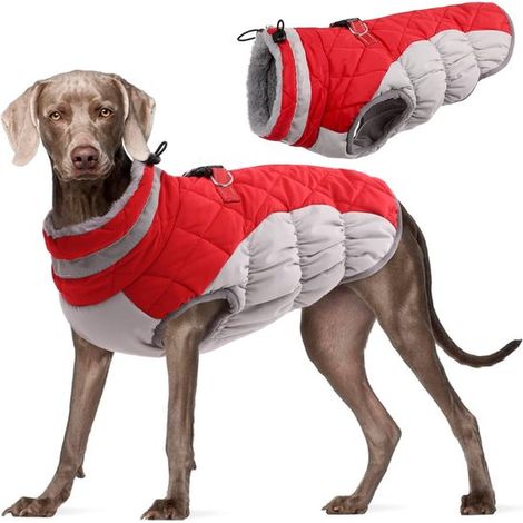 Ropa para perros - Adecuada para perros de tamaño mediano - Chaleco de invierno - Impermeable - Negro - Talla L (1/5)