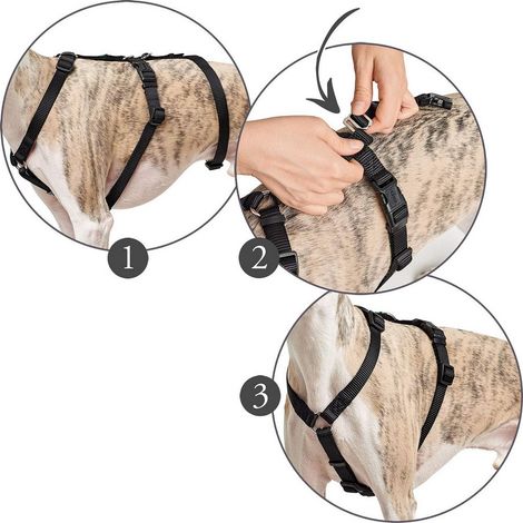 Panikgeschirr Vario Rapid, M Nylon, schwarz