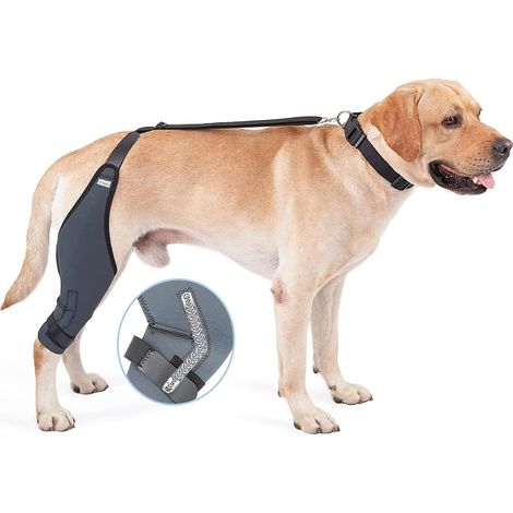 Dog Knee Brace for Acl, Patella Dislocation, Arthritis Keeps Heat Extra Support Reduces Pain and Inflammation(M,LEFT)