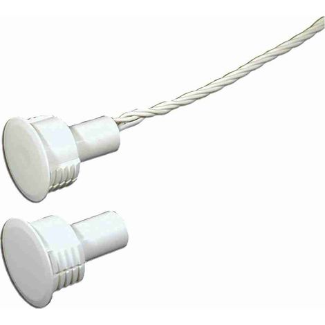 Contatto Magnetico Da Incasso Came Cip31 846ef-0120 Sicurezza Antintrusione