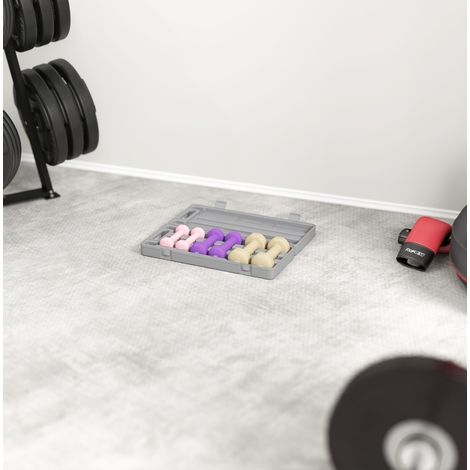 Set di 6 manubri con valigia, 0,5 kg, 1 kg e 1,5 kg, rosa DESVIAE (1/5)