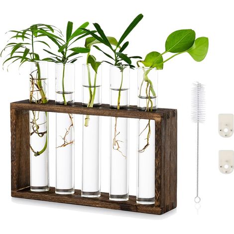 Tenture Murale en Verre Planteur, Propagation Station en Terrarium (1/5)
