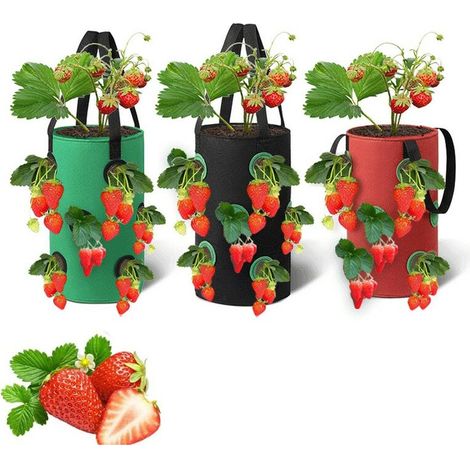 Sac Plantation Fraise Avec 3, Sacs de culture de légumes de jardin, sacs de culture, sacs de plantation de fraises suspendus, (20x35CM) KINSI (1/5)