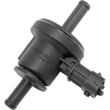 Nouvelle électrovanne de purge du canister à vapeurs-- (1/5)