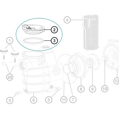 Hayward – Couvercle et joint de préfiltre pour pompe de piscine Max Flo – Plastique transparent – Remplacement pour filtration optimale