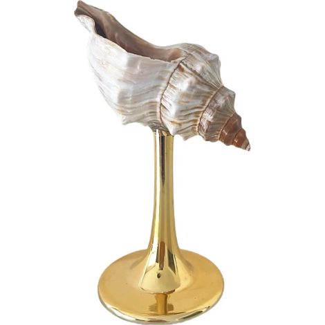 Verre à vin à pied en coquillage naturel, verre artistique en coquillage irrégulier, décoration intérieure.