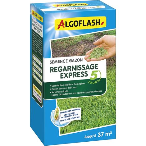 ALGOFLASH Semences Gazon Regarnissage, Germination Express 5 Jours, 800 g (1/3)