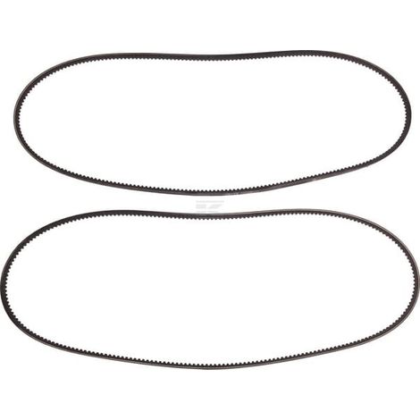 Juego correas trapezoidales (2) DEUTZ 02235264