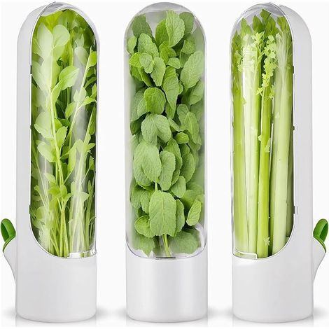 Lot de 3 récipients de conservation pour réfrigérateur - Pour coriandre, , asperges (1/5)