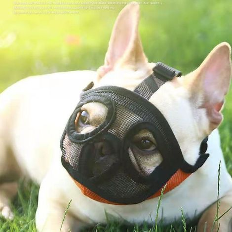 Breathable mesh dog muzzle – Size S (6 to 13.5 kg), orange, suitable for short-muzzled breeds (1/5)