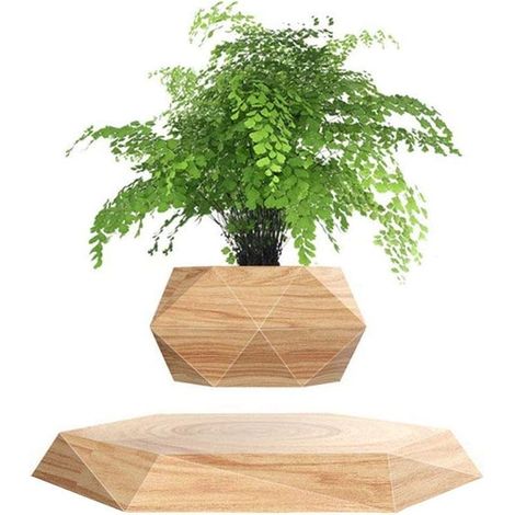 Plante en Lévitation Plante Flottant Air Bonsaï Jardinière de Pot de Fleur de Suspension pour la décoration de Bureau (1/5)
