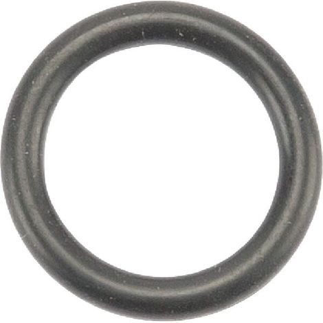 O-Ring SOLO 10630SL (1/2)