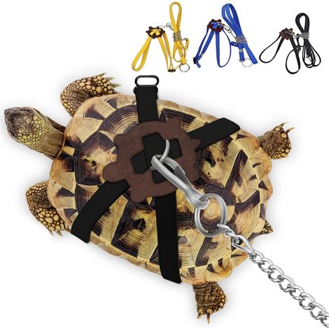 1 Harnais en Cuir, Laisse Réglable, Acier Inoxydable, Pour Tortue et Lézard (1/5)