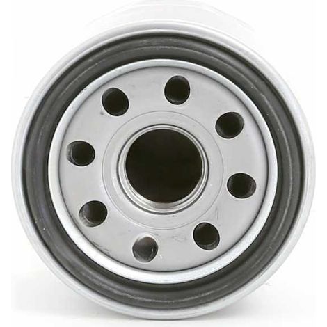 Filtre à huile pour MTD 75111501, 75112690, 95112690 (1/3)